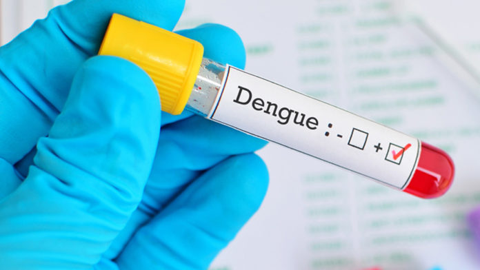 Teste Dengue