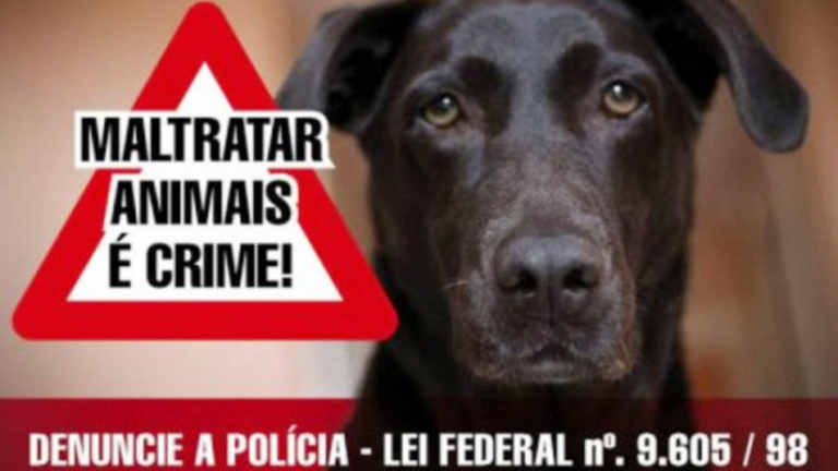 Abandono de animais é crime – Homem é preso em Ouro Fino por abandonar cães