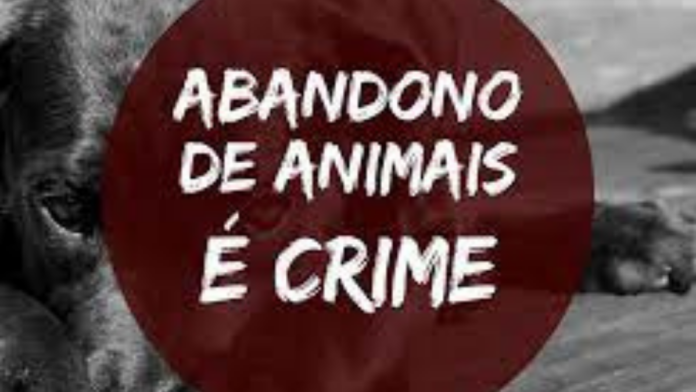 abandono de animais é crime