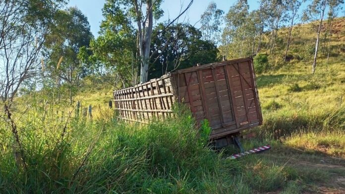 Caminhão usado para transportar gado roubado atola em estrada rural de Jacutinga