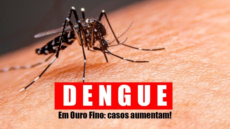 Ouro Fino passa de mil casos e registra duas mortes por dengue